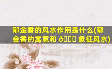 郁金香的风水作用是什么(郁金香的寓意和 🐞 象征风水)